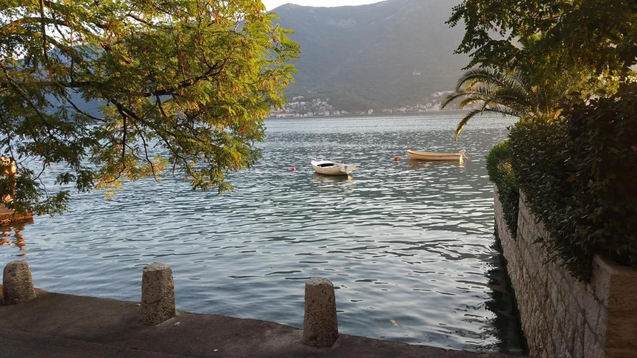 Azure Adriatic Apartamento Kotor Exterior foto